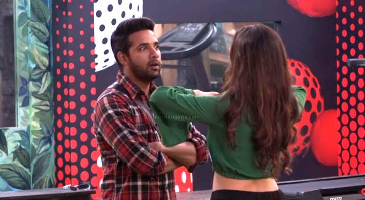 However this is true that Puneesh is indeed a married man, and we found some real pictures from his wedding ceremony to prove it too. This reminds of Manveer Gurjar from BB 10 who too had hidden his marraige during the show. (Pic: Colors)