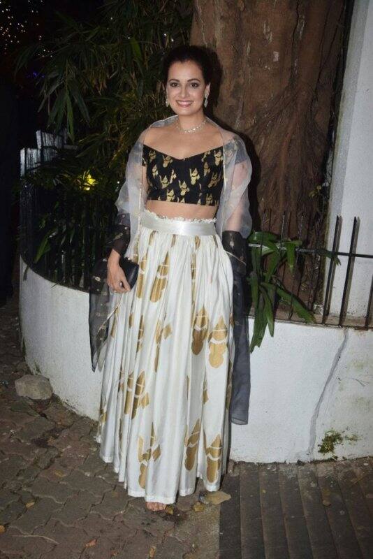 The ever-so-gorgeous Diya Mirza