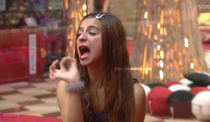 The whole chaotic situation was created when Ben got to know that Akash had commented on her boobs a few weeks ago and she was already irked with him for calling her hygienic during nominations.