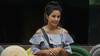 Bigg Boss 11: Hina Khan to be JOINED by three new PADOSIS inside secret room?