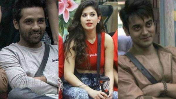 Puneesh, Bandgi and Luv Tyagi were announced as the three contenders for winning the Dino park task