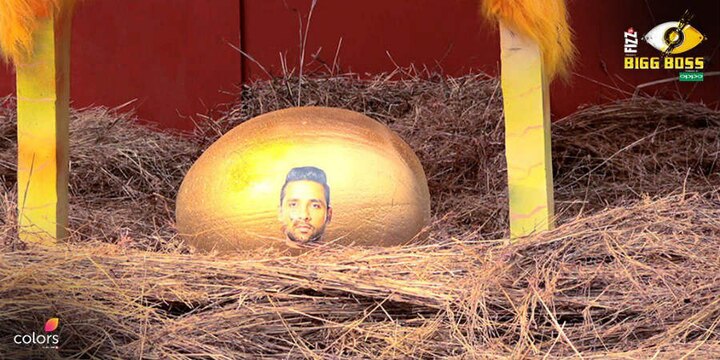 In the task, the hen will give golden eggs with the photograph of contestants on it. The contestants have to save their egg from other housemates since the next buzzer (hen's sound) rings. Whereas, the other housemates will try to throw the egg in pool if they don't want a particular contestant to be the captain. (Photo: Colors)
