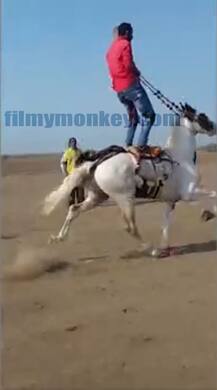 In PICS: Salman Khan's offer of Rs. 2 crore for rare-breed horse Saqab is rejected by owner Sirajkhan Pathan!