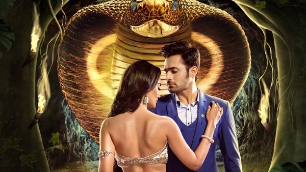 Surbhi Jyoti, Anita Hassanandani and Pearl V Puri starrer Naagin 3 has once again claimed the number one spot. The show from the stable of Ekta Kapoor’s Balaji Productions has kept the viewers hooked on to their TV sets. The latest twist of Bela being Roohi has taken the audience by surprise.