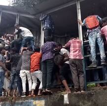 Elphinstone Stampede: 
