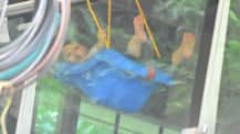 Saif & Kareena's son Taimur snapped enjoying on the swing in his balcony!
