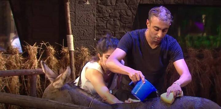 Amid huge fights inside the house, the contestants finally got to do their first Luxury budget task in Episode 3 on Day 3 with even given a real donkey a bath.