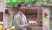 Bigg Boss 11: Arshi Khan's birthday turns into a riot.. Dance...Cake fight..Gifts! It is Awww!