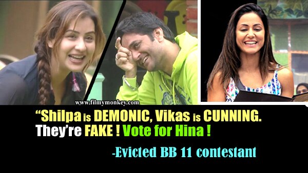 Bigg Boss 11: Sshivani Durga calls Vikas Gupta 