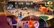 Bigg Boss 11: These three contestants land in 'kaal kothri' after 'Poultry Farm' task!
