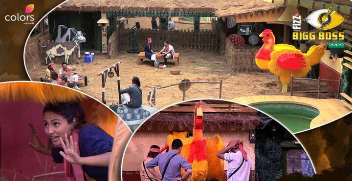In yesterday's (20th December) episode of 'Bigg Boss 11', the housemates were seen battling it out to be the captaincy contenders on the second day of 'BB Poultry Farm' task. (Photo: Colors)
