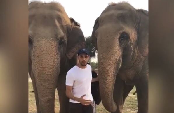 Actor Siddharth Malhotra visits Mathura elephant rescue centre Actor Siddharth Malhotra visits Mathura elephant rescue centre