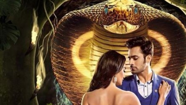 Naagin 3: Real snake SEEN on sets of Surbhi Jyoti-Pearl V Puri’s show (PIC INSIDE) Naagin 3: Real snake SEEN on sets of Surbhi Jyoti-Pearl V Puri’s show (PIC INSIDE)