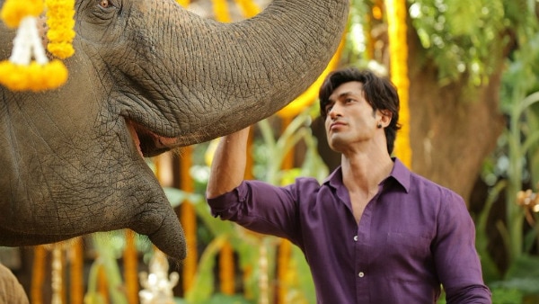 Vidyut Jammwal announces release date of his next flick 'Junglee'! Vidyut Jammwal announces release date of his next flick 'Junglee'!