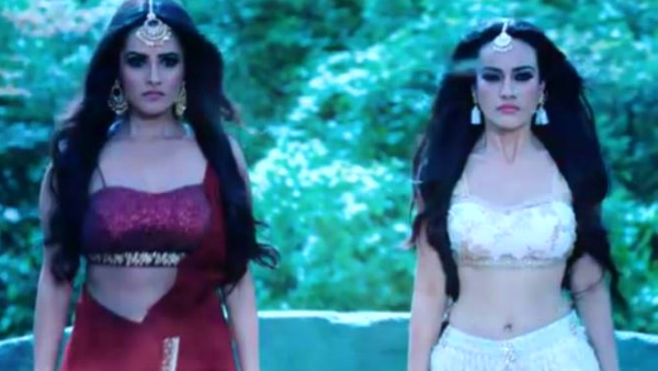 Anita aka 'Vish' of Naagin 3 gets BODY SHAMED; Husband LASHES OUT! Anita aka 'Vish' of Naagin 3 gets BODY SHAMED; Husband LASHES OUT!