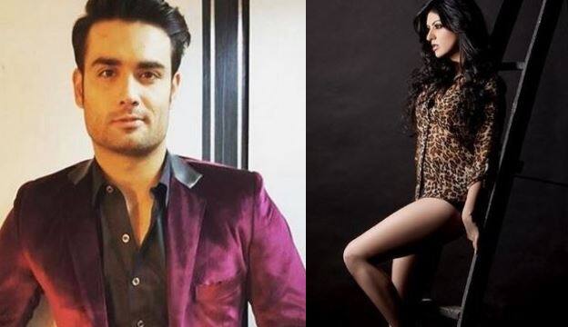 Vivian D’ Sena is DATING co-star Amrita Prakash? Vivian D’ Sena is DATING co-star Amrita Prakash?