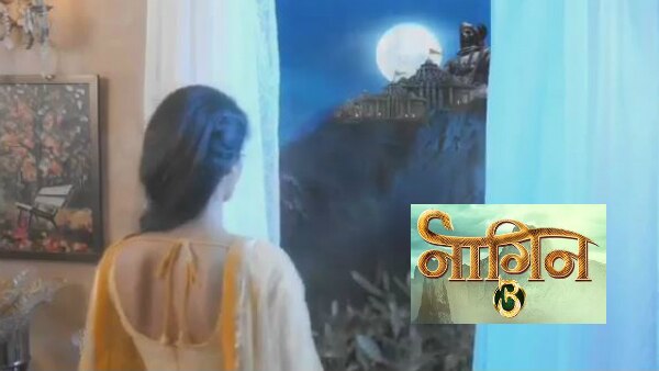 Naagin 3 TWIST: Rajat Tokas aka Vikrant back from the dead for Ruhi/Bela Surbhi Jyoti! Naagin 3 TWIST: Rajat Tokas aka Vikrant back from the dead for Ruhi/Bela Surbhi Jyoti!