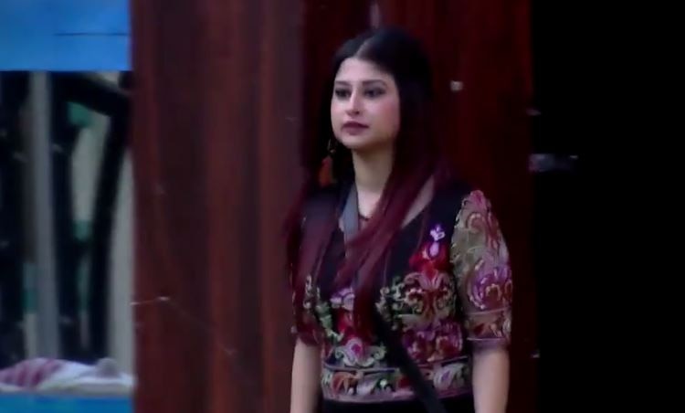 BIGG BOSS 12: Saba Khan WARNS Somi-Romil to maintain distance, says 'Somi focus on your game