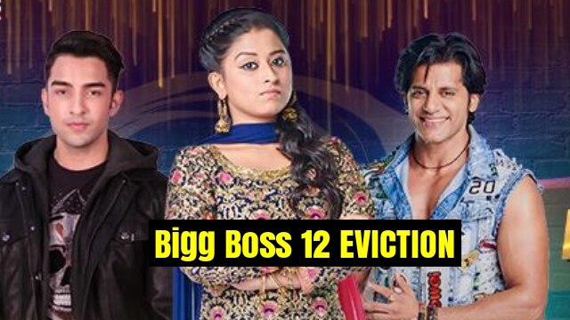 Bigg Boss 12 Eviction: Rohit Suchanti ELIMINATED on Weekend Ka Vaar with Salman Khan Bigg Boss 12 Eviction: THIS contestant gets ELIMINATED from Salman Khan's show?