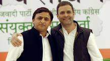Lok Sabha Elections: Rahul hints Congress may fight solo in UP, says \