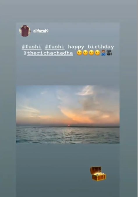 Richa Chadha's Birthday celebration in Maldives with beau Ali Fazal; Pics & Videos!