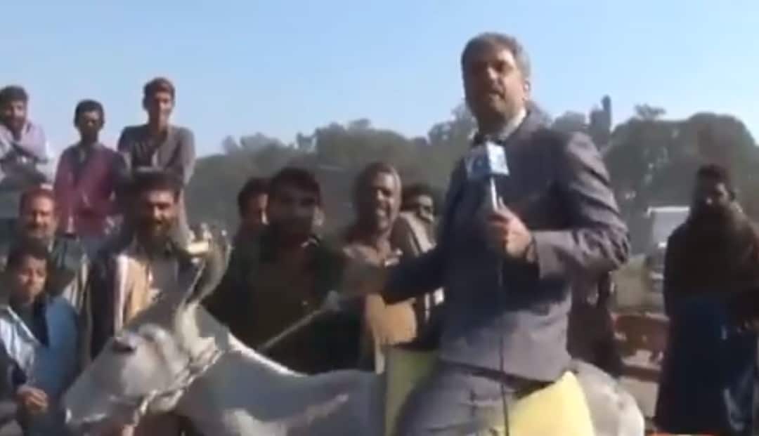 WATCH: This Pakistani journalist rides a donkey while reporting; Twitter erupts with reactions WATCH: This Pakistani journalist rides a donkey while reporting; Twitter erupts with reactions