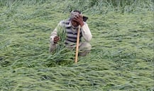 Modi govt mulling major farmer relief packages ahead of 2019 Lok Sabha elections
