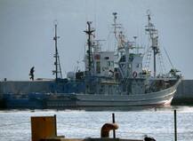 PICTURES: Japan to resume commercial whaling from July 2019; sparks criticism