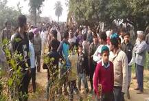 Bulandshahr: Unrest after over half a dozen cattle bodies found