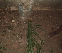 Sabrimala case: Cops arrest 110 people over violence in Kannaur, Pathanamthitta; 237 taken in custody