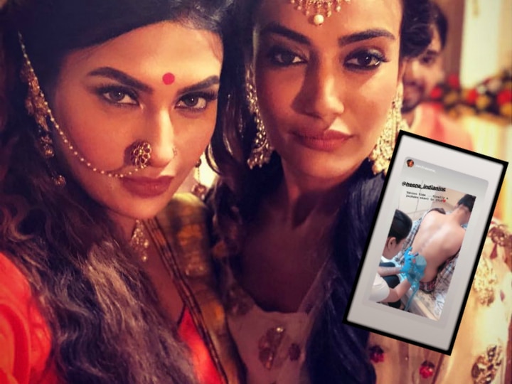 'Naagin 3' & 'Daayan' actress Pavitra Punia gets 7 chakra tattoo inked on her spine; Shares pics-videos! 'Naagin 3' fame Pavitra Punia gets 7 chakra tattoo inked on her spine; Shares pics-videos!