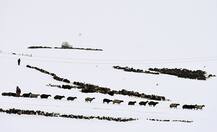 PHOTOS: Breathtaking pictures of places blanketed by snow from around the world