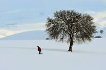 PHOTOS: Breathtaking pictures of places blanketed by snow from around the world