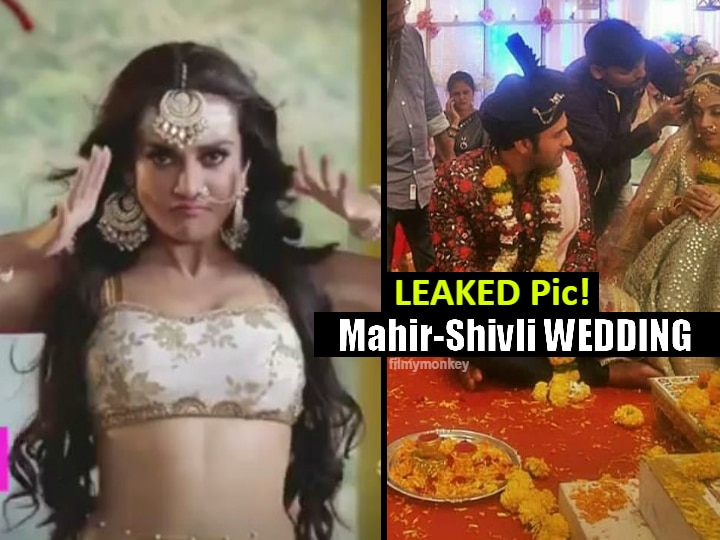 Naagin 3: FIRST PIC of Mahir's marriage with Shivli aka Aditi Sharma; Mreenal Deshraj's role as Rohini revealed too! Naagin 3: Maahir-Shivli(Aditi Sharma) wedding pic leaked! 6 NEW ENTRIES bring more TWISTS!
