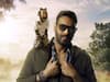 Total Dhaamal: Hollywood\'s \'head turner\' Crystal to make his Bollywood debut with Ajay Devgn\'s film
