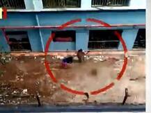 Kolkata: Two nursing students arrested for brutal killing 16 puppies, video goes viral