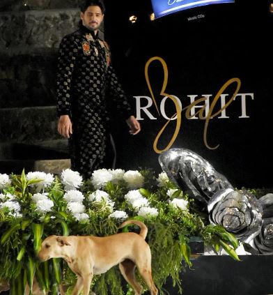 Hilarious video: Stray Dog steals the lime light from Sidharth Malhotra with it's catwalk on the ramp during Rohit Bal show!