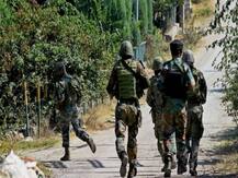 JK: Security forces kill 2 terrorists in Budgam encounter, search operations still underway