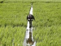 Modi government likely to approve farmer relief package today