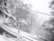 Real ‘winter has come’ in north India: See pictures - Fresh spell of snow in Jammu and Kashmir