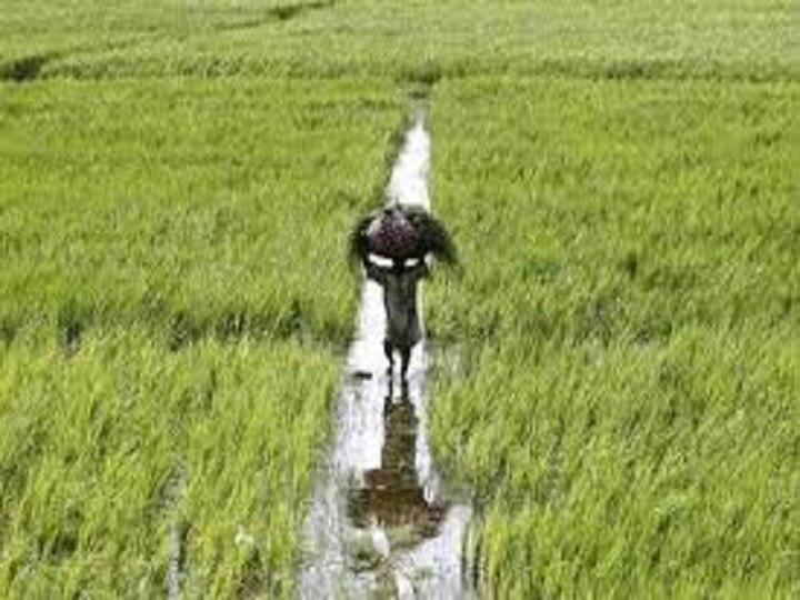 Budget 2019 likely to appease farmers, middle class;  Increase Income tax exemption limit expected Budget 2019 likely to appease farmers, middle class;  Increase in Income tax exemption limit expected