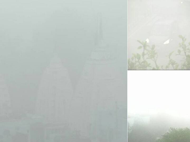See visuals from RK Puram. Dense fog engulfed the national capital on Monday. The maximum and minimum temperatures are expected to be 21 and 9 degrees. (ANI)