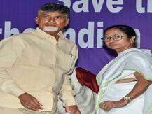\'Mamata main pillar of opposition, will win all 42 Lok Sabha seats in WB\', says Andhra CM Naidu