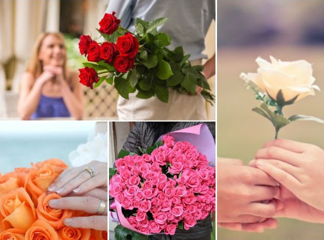 Valentine's Week 2019: On Rose Day, know the importance and significance of each rose colour!   Valentine's Week 2019: On Rose Day, know the importance and significance of each rose colour!