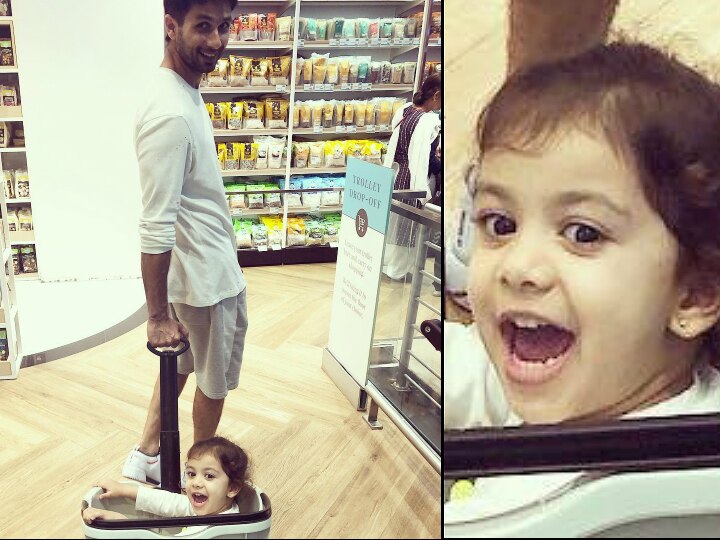 Shahid Kapoor takes daughter Misha Kapoor out for grocery shopping! Baby rides in the shopping trolley & Mira Rajput clicks the pic! Daughter Misha Kapoor visits grocery store with Shahid, enjoys ride in the shopping basket!