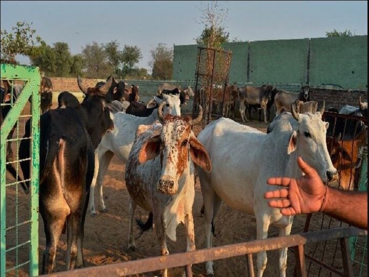 Is Madhya Pradesh like Pakistan? Is Madhya Pradesh like Pakistan?