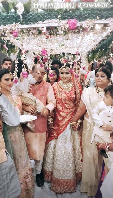 Palak Jain & Tapasvi Mehta are now married; Here are the wedding pictures!