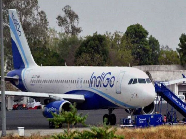 Since Domestic Air Travel Restarted 16 Passengers Have Tested Positive For Coronavirus 16 Passengers In IndiGo, Other Airlines Test Positive For Covid-19 After Resumption Of  Domestic Air Travel