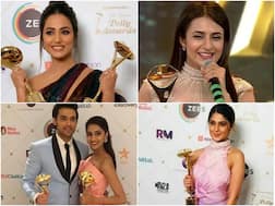 Indian Telly Awards 2019 winners list: Hina, Erica, Jennifer, Divyanka & Nakuul take home trophy