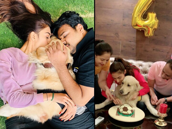 Kasautii Zindagii Kay's Prerna, actress Erica Fernandes celebrates her dog 'Champ's Birthday! Fans troll 'Kasautii Zindagii Kay' actress Erica Fernandes for celebrating her dog 'Champ's Birthday!